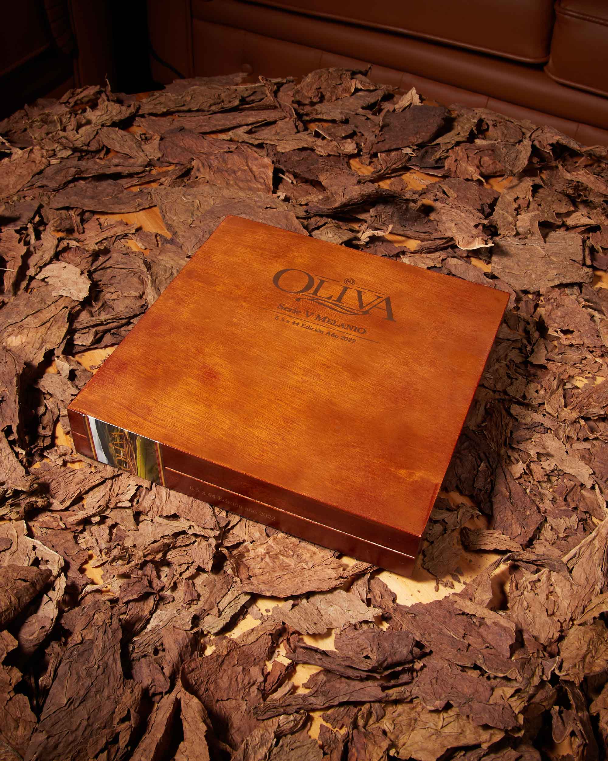 Oliva Serie V Melanio Edición Año 2022