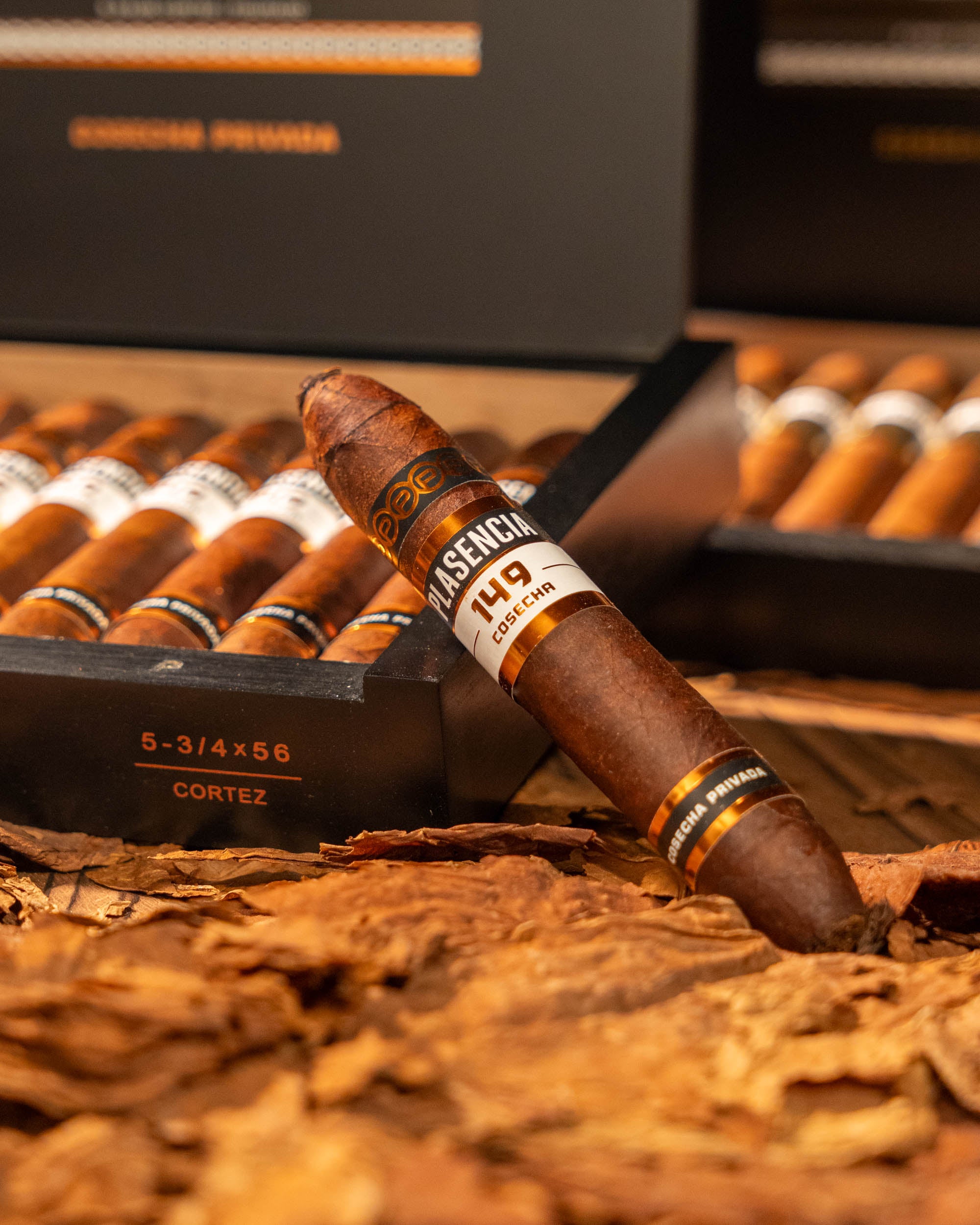 Plasencia Cosecha 149 Cortez - nextCIGAR