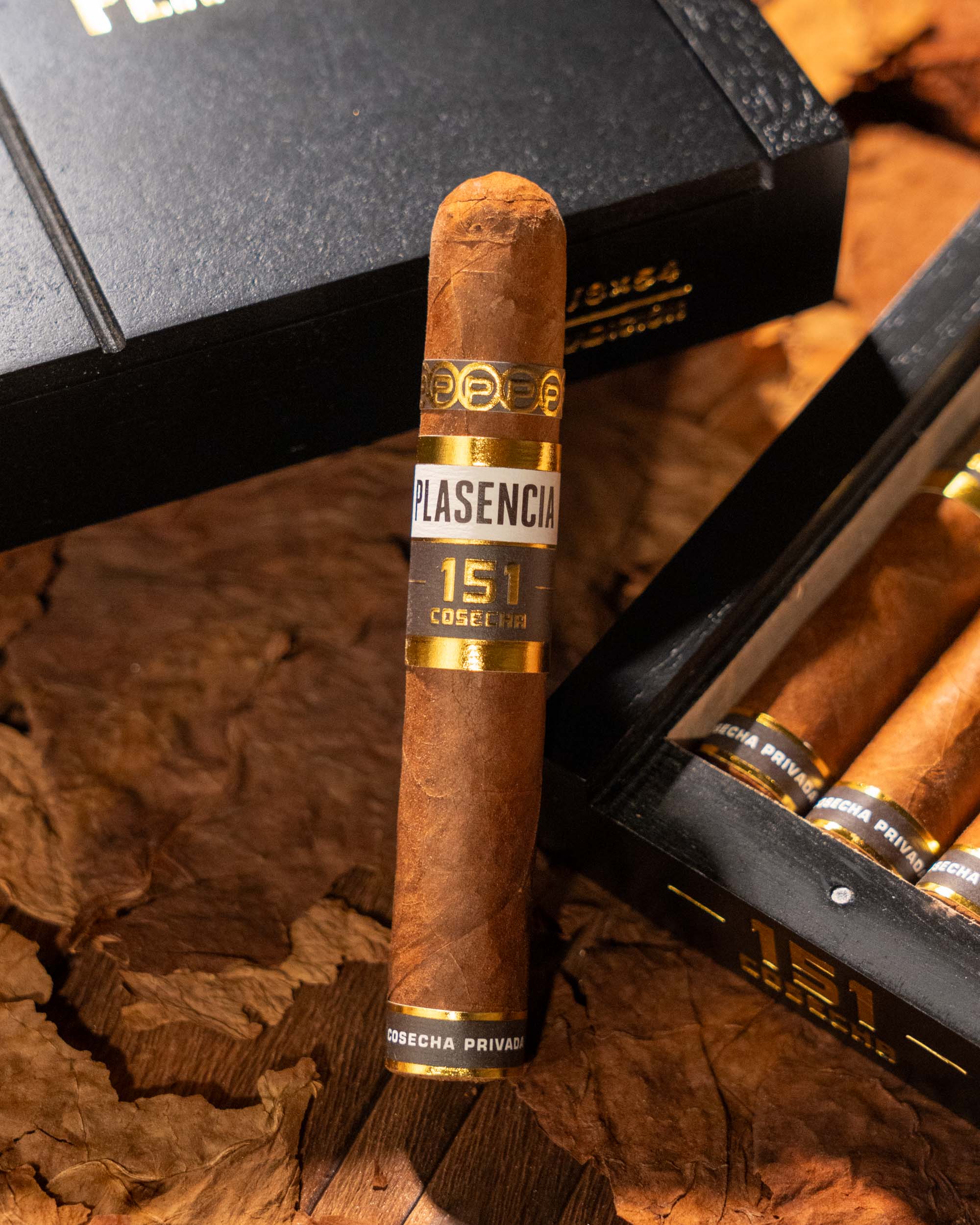 Plasencia Cosecha 151 La Música - nextCIGAR