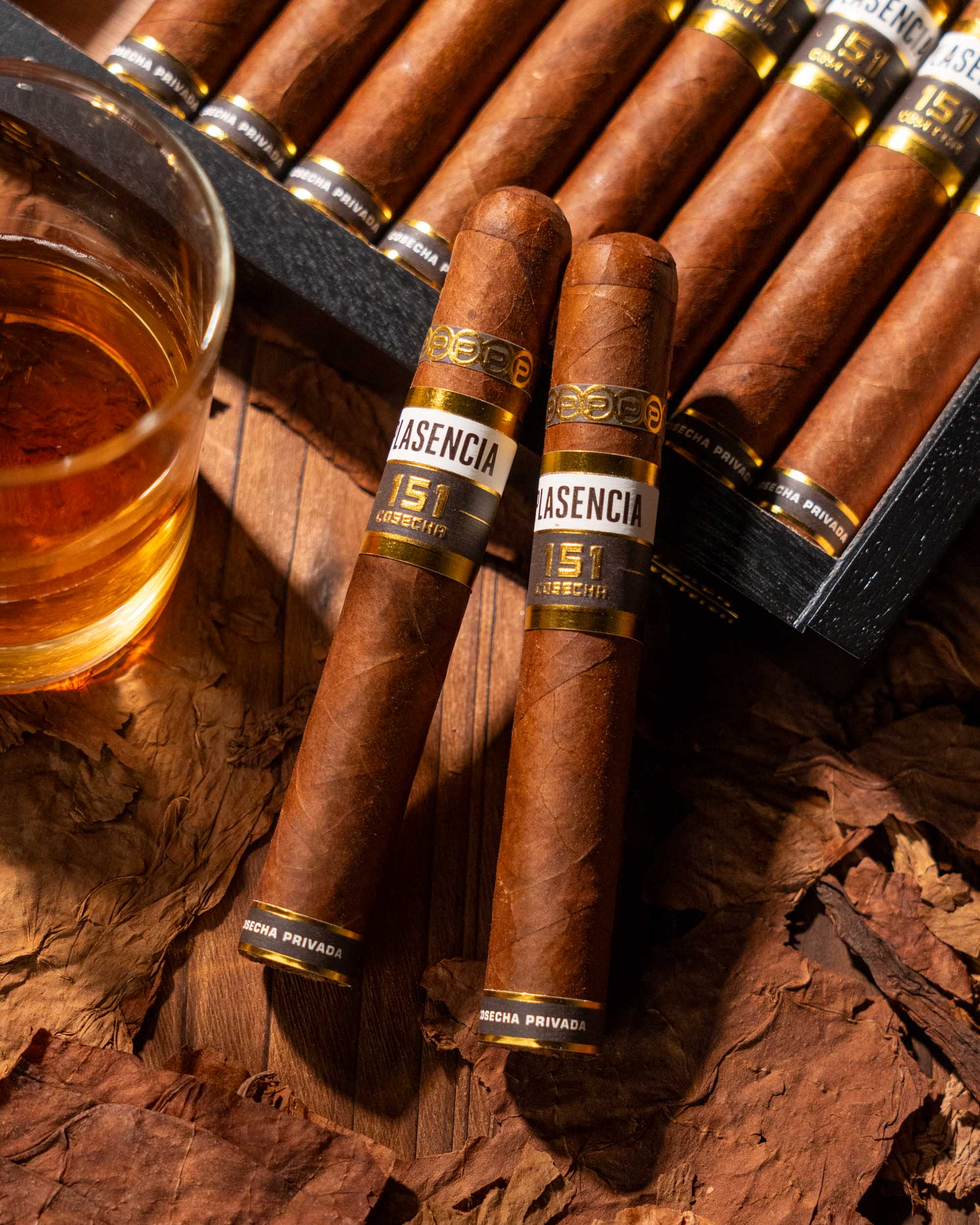 Plasencia Cosecha 151 La Tradición - nextCIGAR