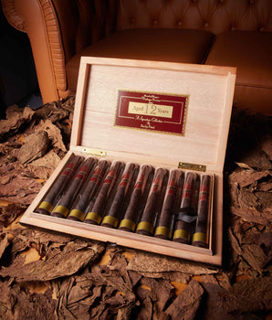 Rocky Patel Vintage 1990 Robustos Tubes