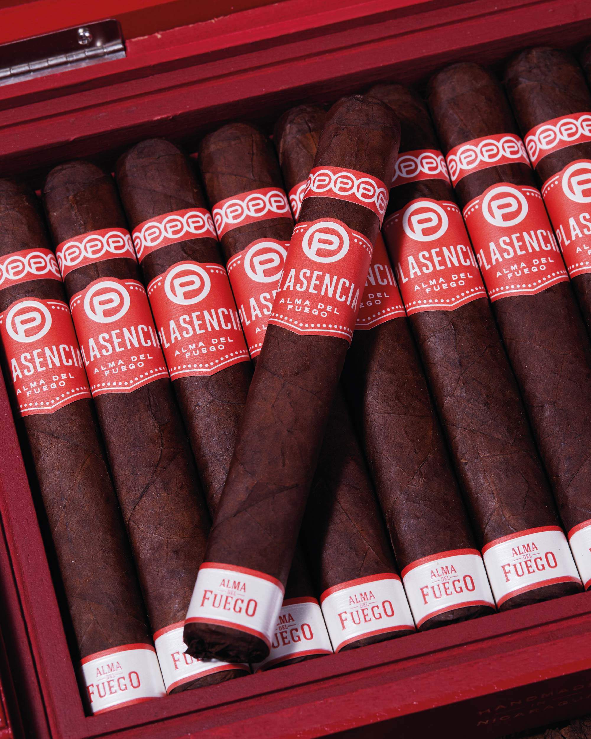 Plasencia Alma del Fuego Concepción