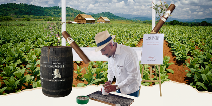 Journey from Seed to Shelf<br>Unveiling the Magic Behind Davidoff Cigars