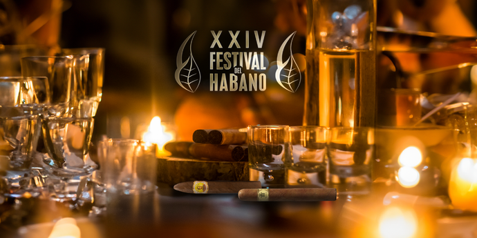 The Thrill of the Habano Festival:  <br>A Look Back at the 2024 Edition</br>