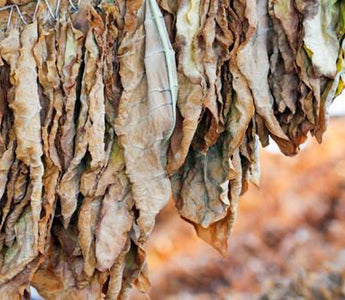 tobacco pouches flavors FDA to Begin Review of Altria's On Nicotine Pouches tobacco pouches flavors FDA to Begin Review of Altria's On Nicotine Pouches