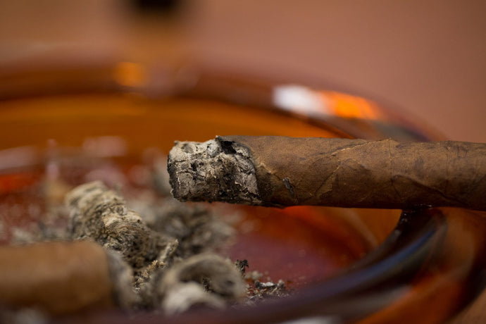 5 Essential Cigar Fixes You Need to Know