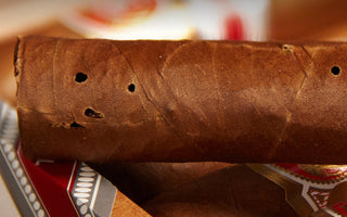 Cigar 101 - Saving your cigars from bugs