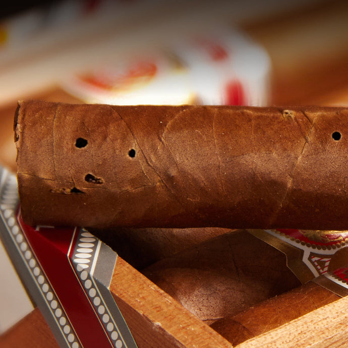 Cigar 101 - Saving your cigars from bugs