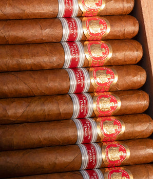 Cigars - Saint Luis Rey La Cuna Edición Regional Italia 2024