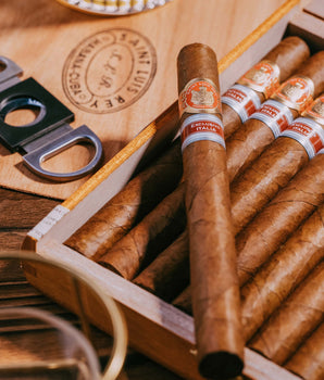 Cigars - Saint Luis Rey La Cuna Edición Regional Italia 2024