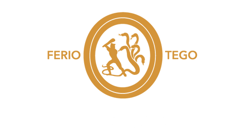 费里奥 · 泰戈 SUMMA