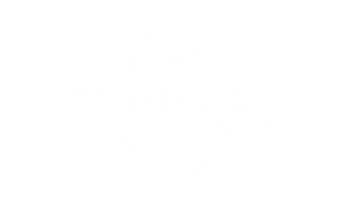 潘趣 (Punch)