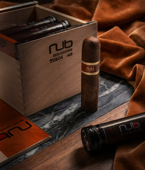 奧利瓦努布日曬460