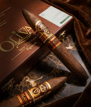 Oliva Serie V Melanio Figurado
