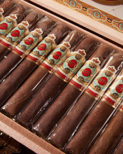 
                      
                        Load image into Gallery viewer, Ashton Symmetry Robusto
                      
                    