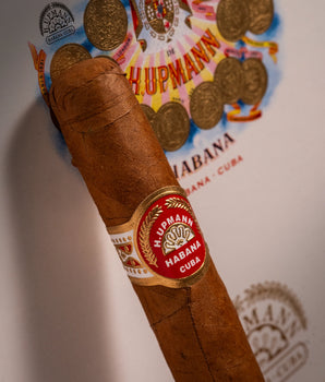 H. Upmann Majestic (PCC)
