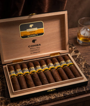 Cohiba Magicos Maduro 5 (PCC)
