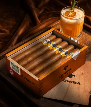 Cohiba Siglo VI (PCC)
