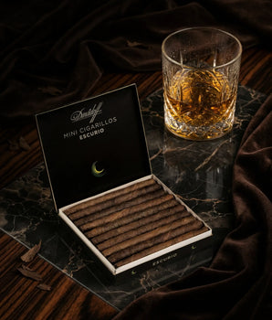 Davidoff Escurio Mini Cigarillos