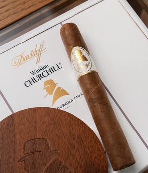 大衛杜夫溫斯頓·邱吉爾 小紳士型