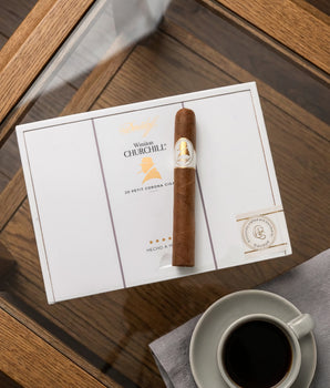 大衛杜夫溫斯頓·邱吉爾 小紳士型