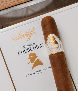 大衛杜夫溫斯頓·邱吉爾 羅布圖型