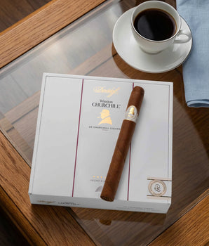 大衛杜夫溫斯頓·邱吉爾 邱吉爾型