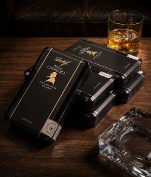 大衛杜夫溫斯頓·丘吉爾至暗時刻系列小喇叭型