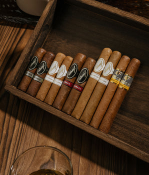 驚悚組合包 (10支裝)