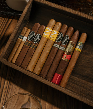 吸血鬼的珍藏 (10支装)