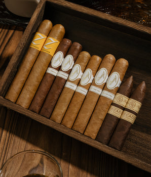 守墓人寶藏 (10支裝)