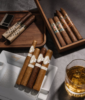 Davidoff x Alec Bradley Bundle