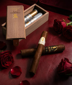 Davidoff Winston Churchill Toro Gift Set (2 Cigars)
