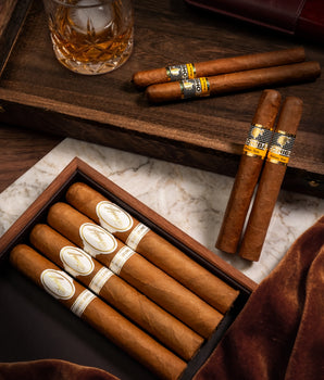 Davidoff x Cohiba Bundle