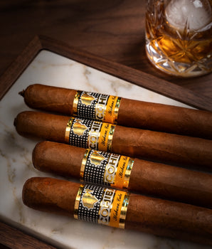Davidoff x Cohiba Bundle