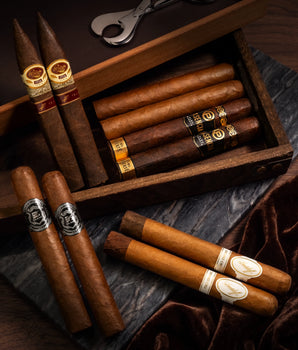 Zino Plat x Padron x Plasencia Bundle (2 Bonus Davidoff)