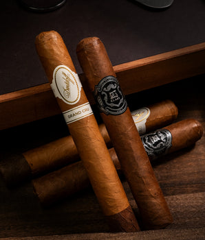 Zino Plat x Padron x Plasencia Bundle (2 Bonus Davidoff)