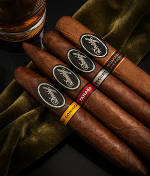 Casa Carillo x Davidoff Black Band Bundle