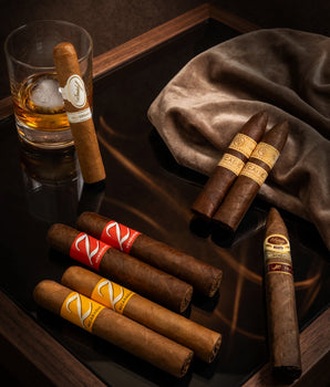 Rocky Patel x Padron x Davidoff x Zino Bundle