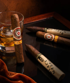 A.Bradley x Padron x Davidoff WSC Bundle
