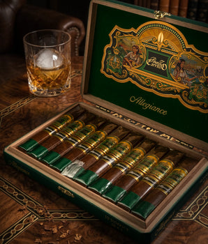 Casa Carrillo Allegiance Sidekick