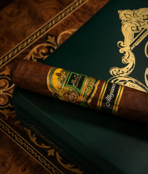 Casa Carrillo Allegiance Sidekick