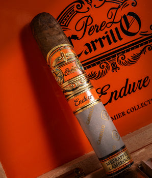 Casa Carrillo Endure Robusto