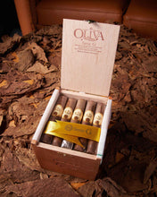 
                      
                        Load image into Gallery viewer, Oliva Serie G Aged Cameroon Robusto
                      
                    