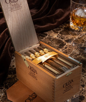 Oliva Serie G Aged Cameroon Churchill