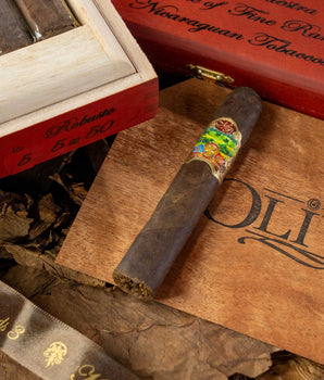 Oliva Master Blends 3 Robusto - nextCIGAR