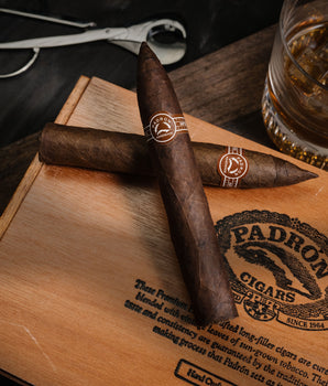 파드론 6000 마두로