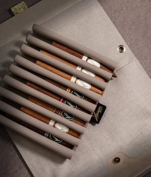 Davidoff The Travel Humidor (Urban Edition) + 8 Complimentary Cigars