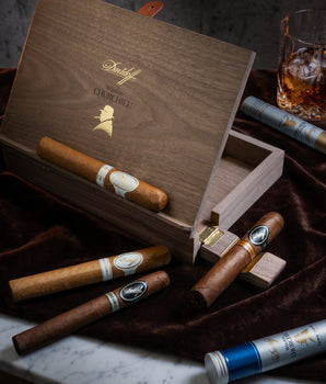 Davidoff Winston Churchill "The Artist" Wooden Case & Cigar Gift Set