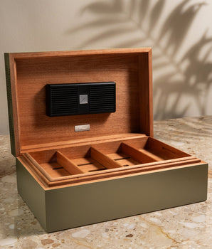 지노 Z-콜렉션 그린 Z80 휴미더 (80스틱용)